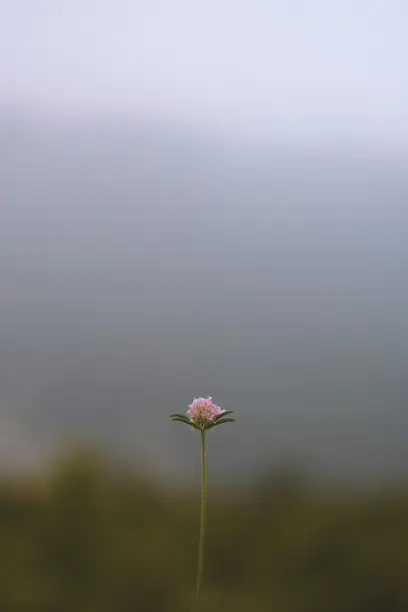  бережное расставание